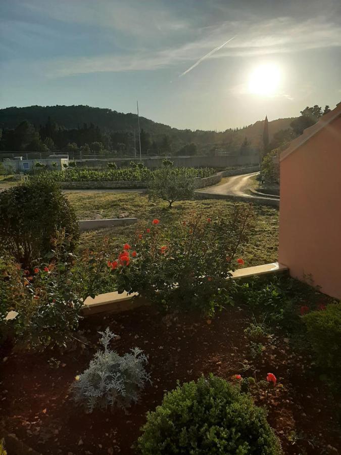 Apartment "Manna Zrnovo エクステリア 写真
